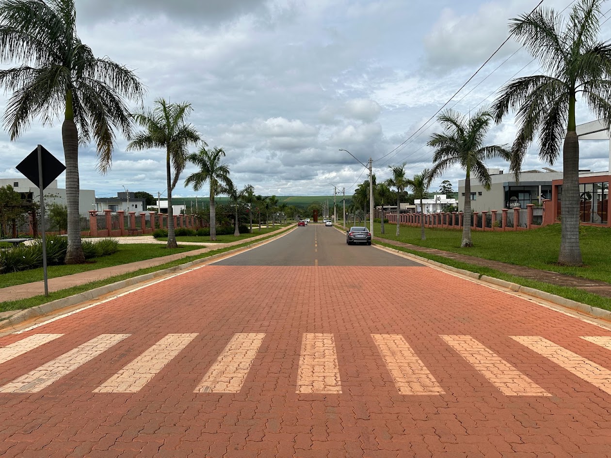 Avenida das palmeiras imperiais no Condomínio Le Jardin DF, Jardim Botânico